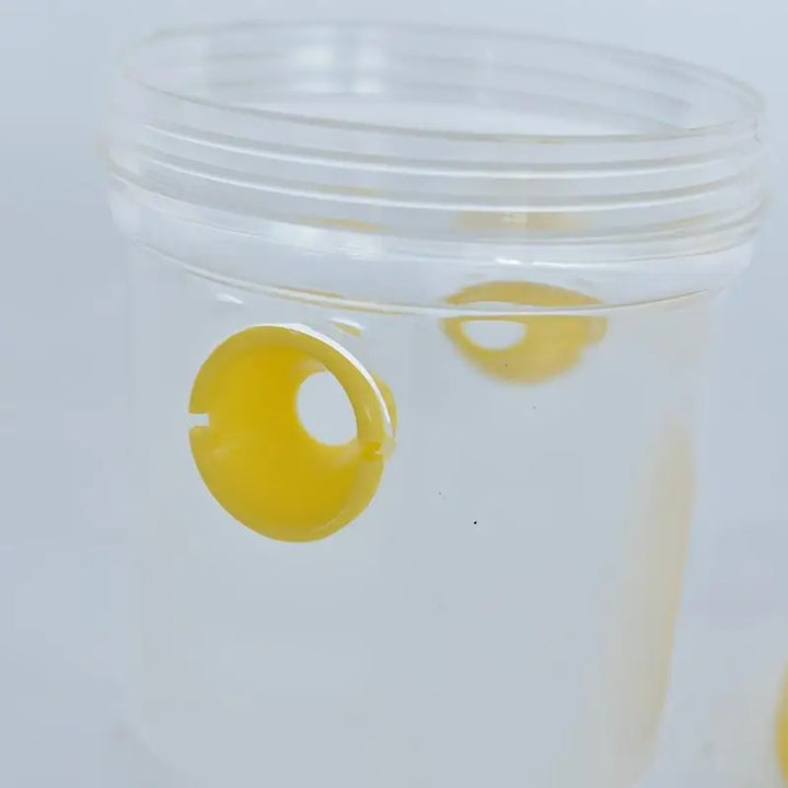 Clear Plastic Outdoor Insect Trap with Lid - Effective for Catching Fruit Flies, Wasps, Transparent Design for Easy Monitoring