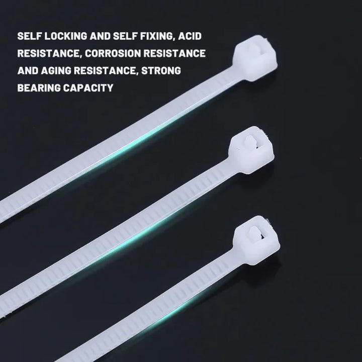 Self-locking nylon cable ties, assorted sizes