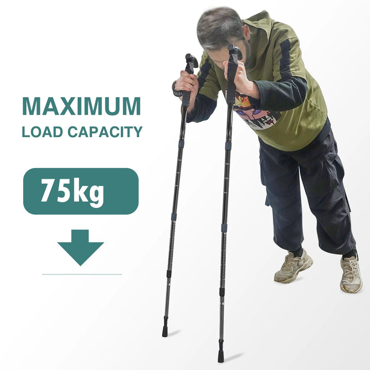 4-Section Folding Trekking Pole