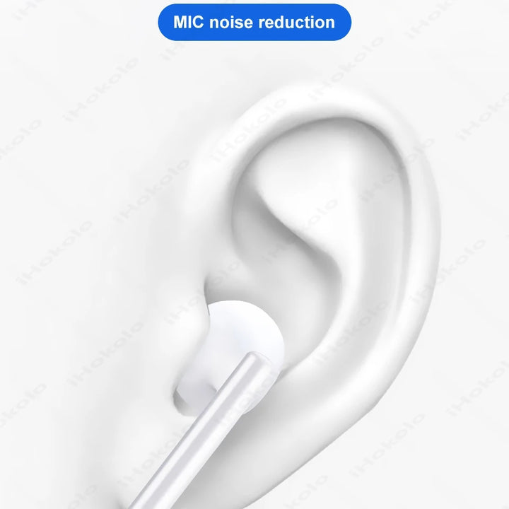 USB-C wired earbuds with microphone